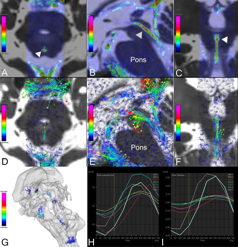 https://cdn.ncbi.nlm.nih.gov/pmc/blobs/3cc2/11138021/ebd4cd05d3a6/12987_2024_552_Fig2_HTML.jpg