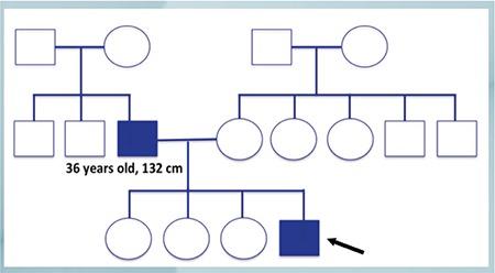 https://cdn.ncbi.nlm.nih.gov/pmc/blobs/3cc2/6878336/71ac8077e354/JCRPE-11-426-g2.jpg
