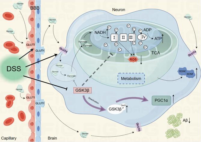 https://cdn.ncbi.nlm.nih.gov/pmc/blobs/3cc5/11577849/2ca4032244e4/13195_2024_1618_Fig12_HTML.jpg