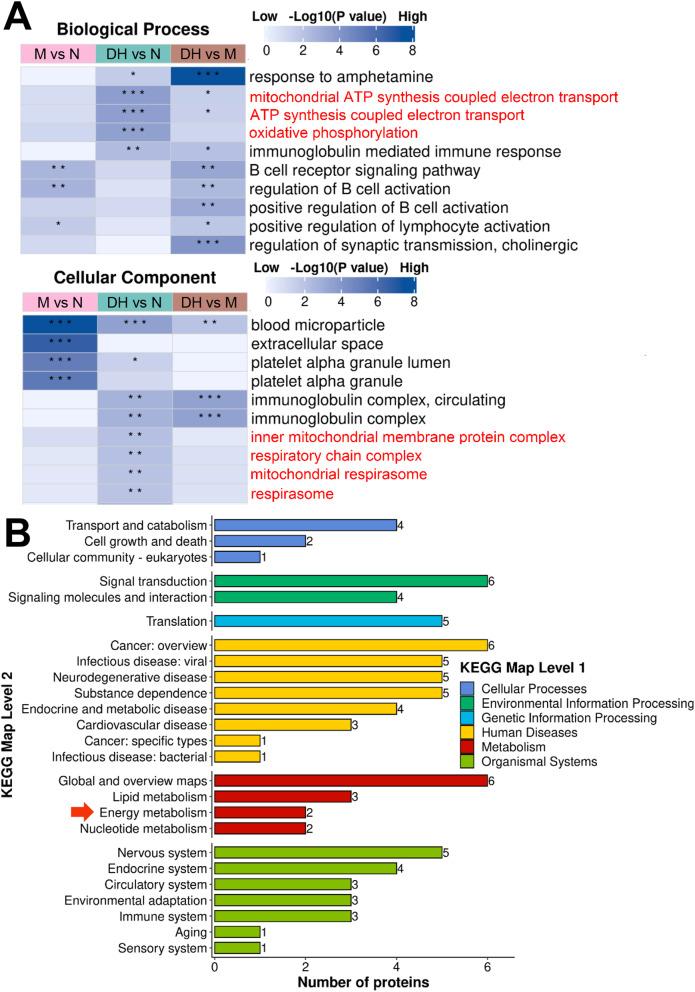 https://cdn.ncbi.nlm.nih.gov/pmc/blobs/3cc5/11577849/62a22dbb465d/13195_2024_1618_Fig6_HTML.jpg