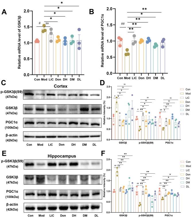https://cdn.ncbi.nlm.nih.gov/pmc/blobs/3cc5/11577849/6f58b0197083/13195_2024_1618_Fig11_HTML.jpg
