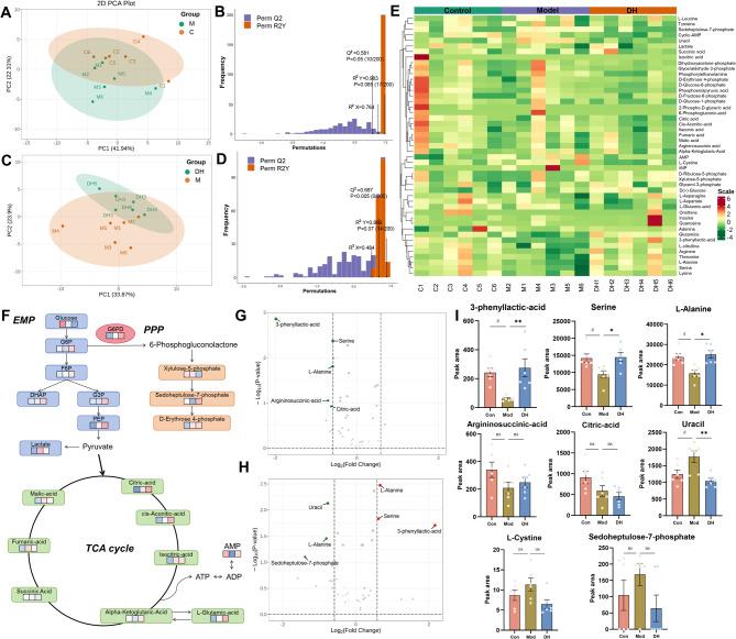 https://cdn.ncbi.nlm.nih.gov/pmc/blobs/3cc5/11577849/8fcdd1690b79/13195_2024_1618_Fig7_HTML.jpg