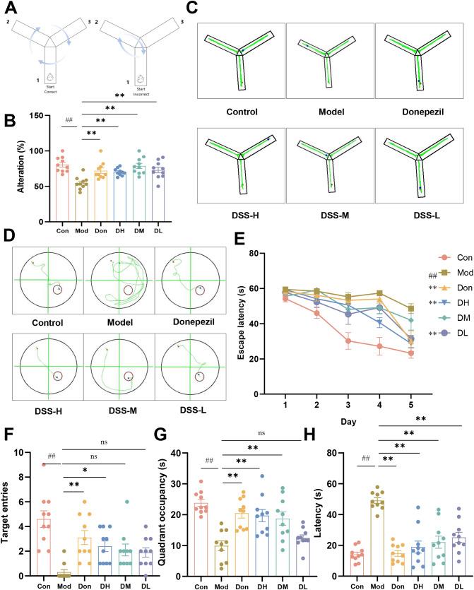 https://cdn.ncbi.nlm.nih.gov/pmc/blobs/3cc5/11577849/9b3a4f3c99fe/13195_2024_1618_Fig2_HTML.jpg