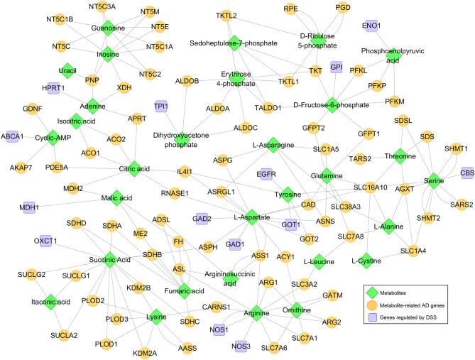 https://cdn.ncbi.nlm.nih.gov/pmc/blobs/3cc5/11577849/ed44d76a42ec/13195_2024_1618_Fig8_HTML.jpg
