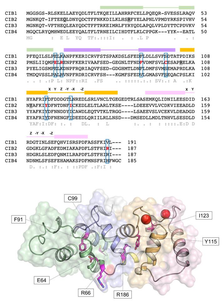 https://cdn.ncbi.nlm.nih.gov/pmc/blobs/3cc7/8999013/2b2e366feb04/ijms-23-03552-g001.jpg