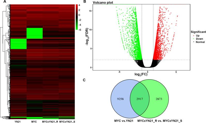 https://cdn.ncbi.nlm.nih.gov/pmc/blobs/3cc8/11552326/1bca5cf987f3/12870_2024_5789_Fig3_HTML.jpg
