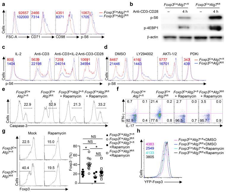 https://cdn.ncbi.nlm.nih.gov/pmc/blobs/3cc8/4755832/17a6a5e3ceaa/nihms742544f3.jpg