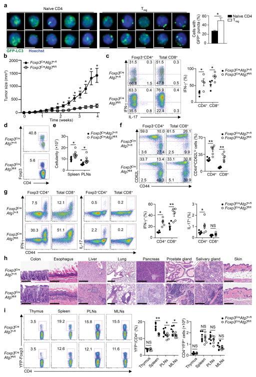 https://cdn.ncbi.nlm.nih.gov/pmc/blobs/3cc8/4755832/ad657cc1aa35/nihms742544f1.jpg