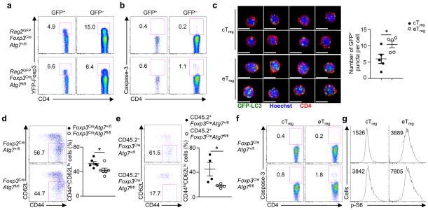 https://cdn.ncbi.nlm.nih.gov/pmc/blobs/3cc8/4755832/af7295373071/nihms742544f7.jpg