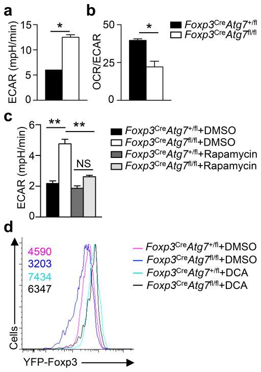 https://cdn.ncbi.nlm.nih.gov/pmc/blobs/3cc8/4755832/faf6035267af/nihms742544f5.jpg