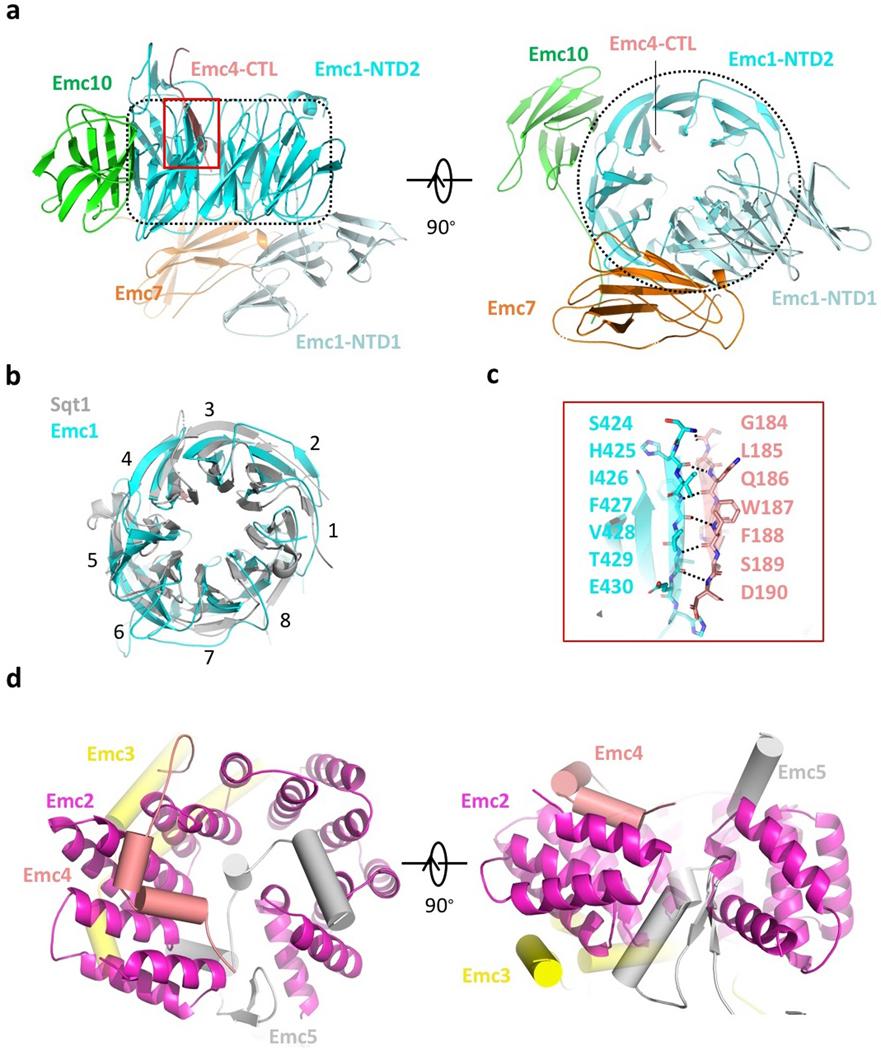 https://cdn.ncbi.nlm.nih.gov/pmc/blobs/3cc9/7442705/1cbfa6dbc244/nihms-1582957-f0009.jpg
