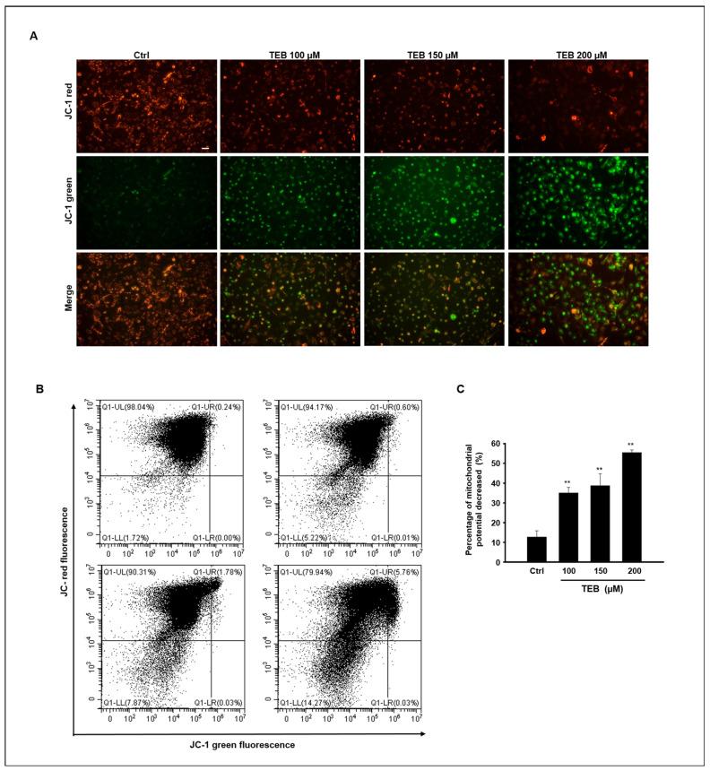 https://cdn.ncbi.nlm.nih.gov/pmc/blobs/3cca/10144106/d9e8ef041b5c/toxics-11-00397-g003.jpg