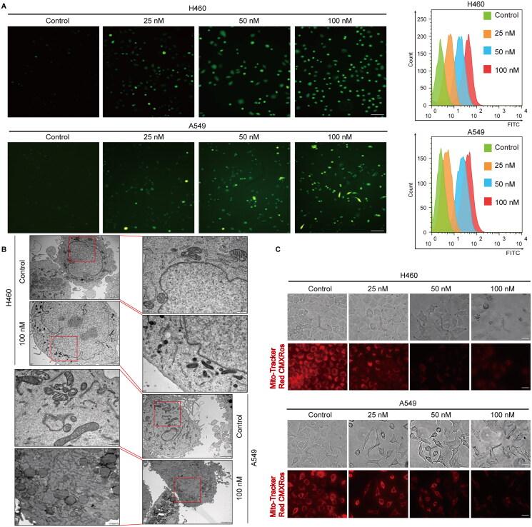 https://cdn.ncbi.nlm.nih.gov/pmc/blobs/3cca/10860416/857af11df53c/IPHB_A_2309891_F0002_C.jpg