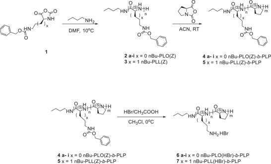 https://cdn.ncbi.nlm.nih.gov/pmc/blobs/3cca/11854869/2c547b921a10/ADMA-37-2411595-g004.jpg