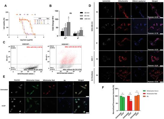 https://cdn.ncbi.nlm.nih.gov/pmc/blobs/3cca/11854869/d79f8a43d779/ADMA-37-2411595-g002.jpg