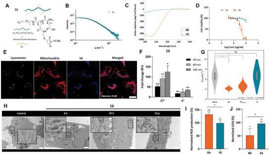 https://cdn.ncbi.nlm.nih.gov/pmc/blobs/3cca/11854869/f7388977df59/ADMA-37-2411595-g006.jpg
