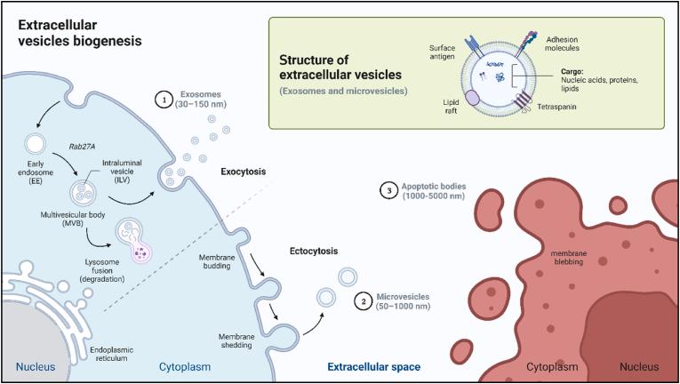 https://cdn.ncbi.nlm.nih.gov/pmc/blobs/3ccb/12244223/54251563162b/gr2.jpg
