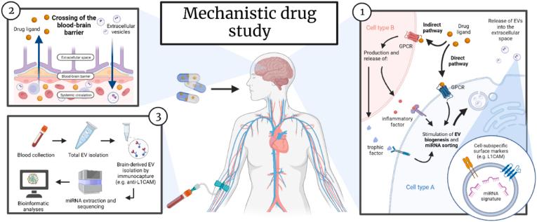 https://cdn.ncbi.nlm.nih.gov/pmc/blobs/3ccb/12244223/9fdd2d066621/gr3.jpg