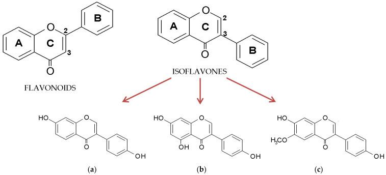 https://cdn.ncbi.nlm.nih.gov/pmc/blobs/3ccc/11643064/50db6818e280/molecules-29-05790-g001.jpg