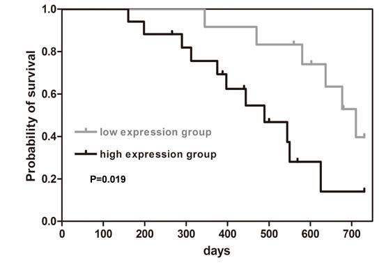 https://cdn.ncbi.nlm.nih.gov/pmc/blobs/3cce/3424958/bd34f8abff6c/1741-7015-10-85-6.jpg