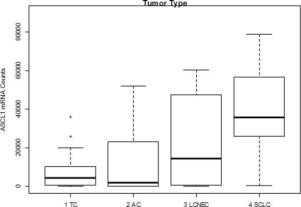 https://cdn.ncbi.nlm.nih.gov/pmc/blobs/3ccf/4694788/e07ff039a333/oncotarget-06-24690-g004.jpg