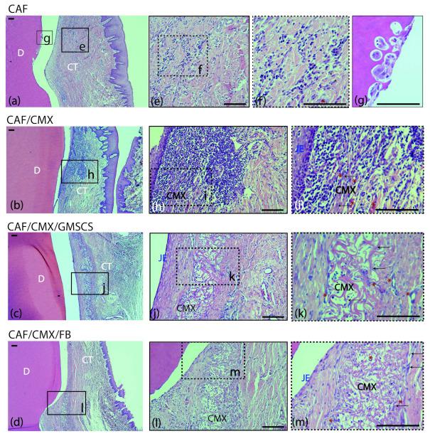 https://cdn.ncbi.nlm.nih.gov/pmc/blobs/3ccf/8950013/2a38a0260cf6/ijms-23-03248-g002.jpg