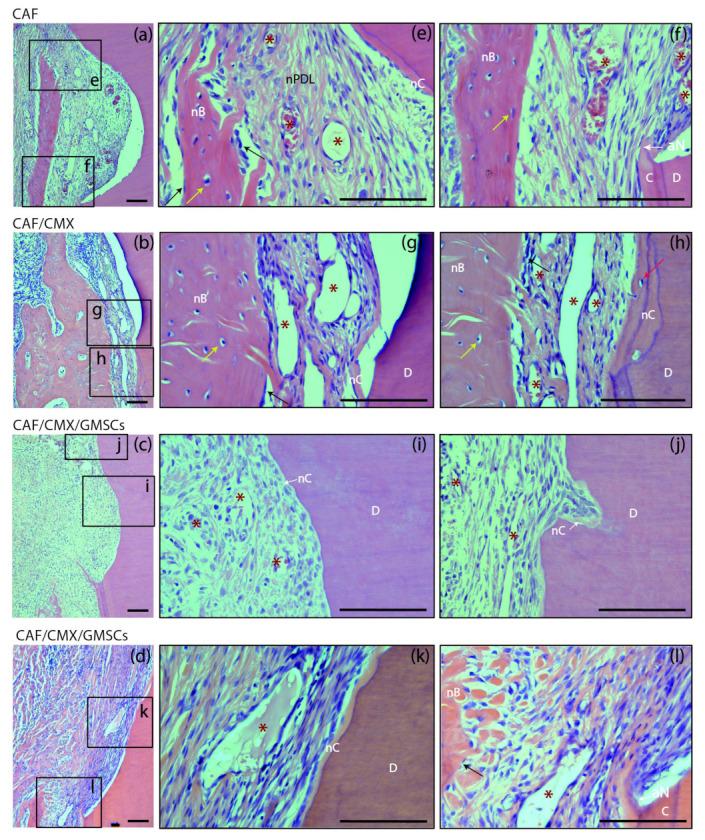 https://cdn.ncbi.nlm.nih.gov/pmc/blobs/3ccf/8950013/5abc7df93d86/ijms-23-03248-g004.jpg