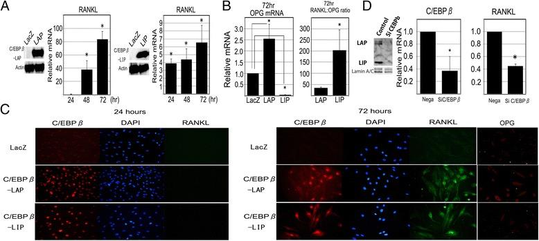 https://cdn.ncbi.nlm.nih.gov/pmc/blobs/3cd0/4355365/2db691eb06f7/13075_2015_532_Fig2_HTML.jpg