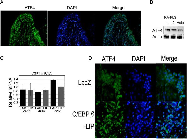 https://cdn.ncbi.nlm.nih.gov/pmc/blobs/3cd0/4355365/7f7396acd4f5/13075_2015_532_Fig5_HTML.jpg