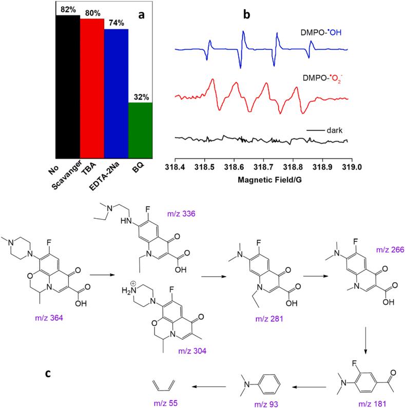 https://cdn.ncbi.nlm.nih.gov/pmc/blobs/3cd1/10550519/5e0f64cc6c92/gr8.jpg