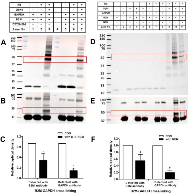 https://cdn.ncbi.nlm.nih.gov/pmc/blobs/3cd1/7900768/659863637839/gr3.jpg