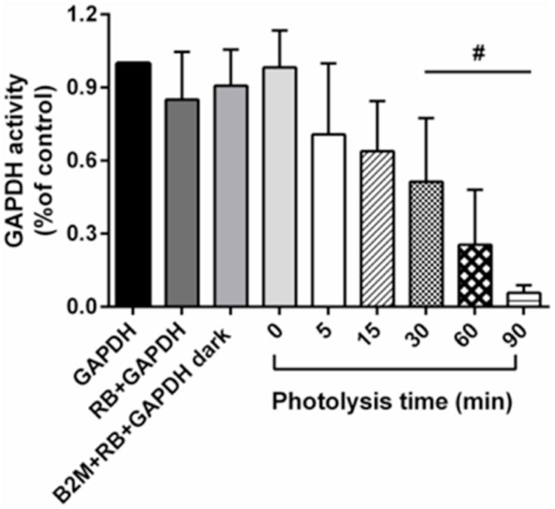 https://cdn.ncbi.nlm.nih.gov/pmc/blobs/3cd1/7900768/ab6cf550c266/gr2.jpg