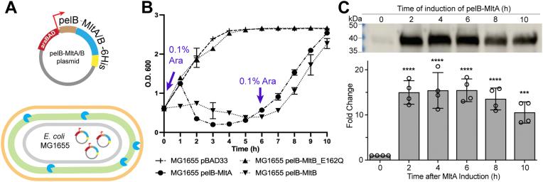 https://cdn.ncbi.nlm.nih.gov/pmc/blobs/3cd2/10139938/d0de29cbc335/gr1.jpg