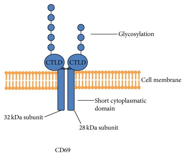 https://cdn.ncbi.nlm.nih.gov/pmc/blobs/3cd4/4352431/207591808eca/JIR2015-497056.001.jpg