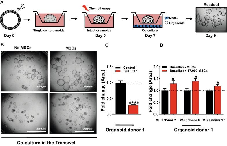 https://cdn.ncbi.nlm.nih.gov/pmc/blobs/3cd5/11057078/5a97246920cb/13287_2024_3738_Fig3_HTML.jpg