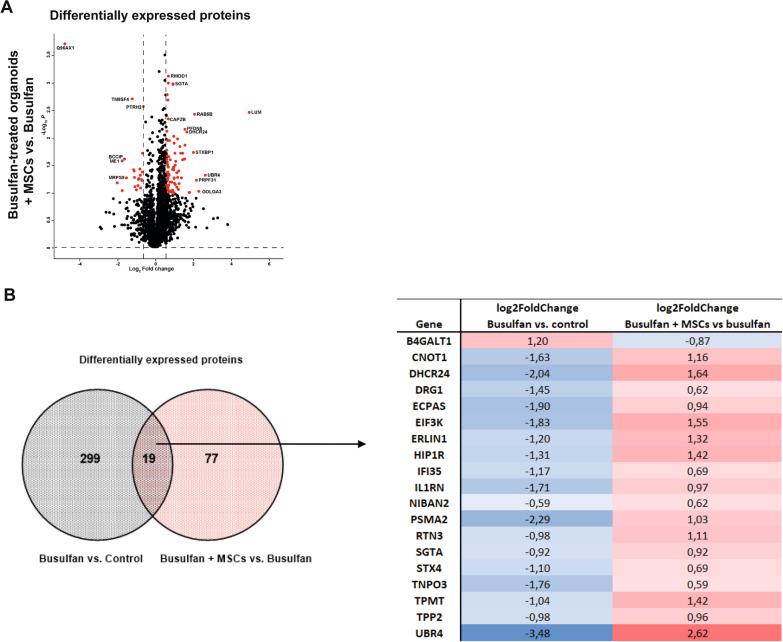 https://cdn.ncbi.nlm.nih.gov/pmc/blobs/3cd5/11057078/96a434cd0205/13287_2024_3738_Fig7_HTML.jpg