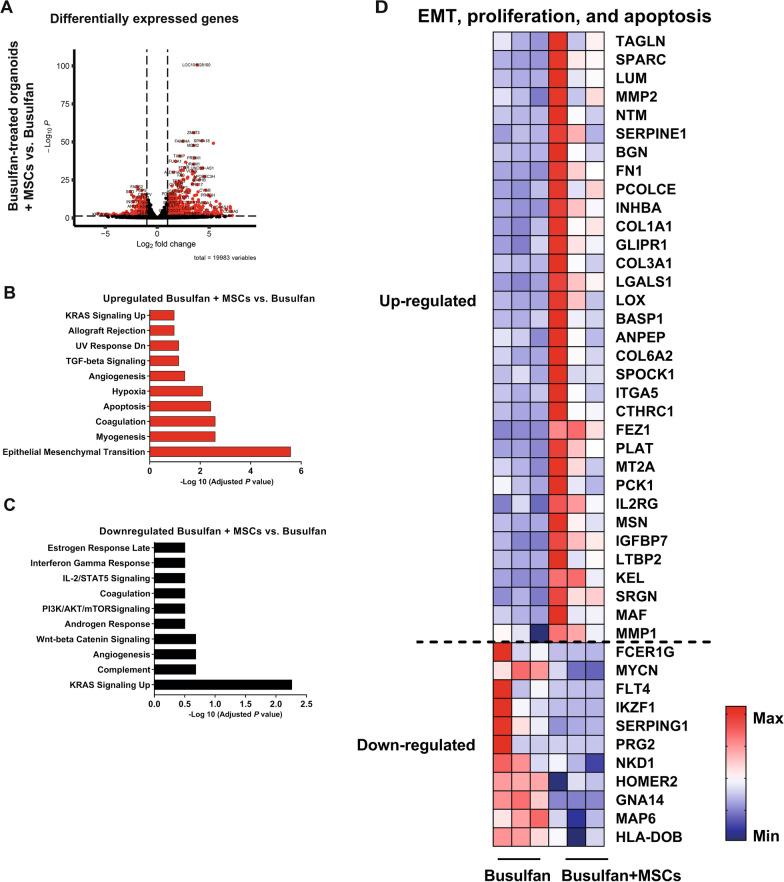 https://cdn.ncbi.nlm.nih.gov/pmc/blobs/3cd5/11057078/f3d312fc5eb9/13287_2024_3738_Fig6_HTML.jpg