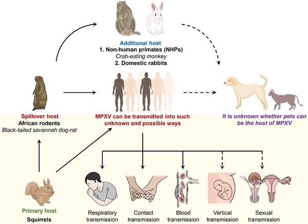 https://cdn.ncbi.nlm.nih.gov/pmc/blobs/3cd5/12087419/ed1f8139a36d/EXP2-5-20230112-g017.jpg
