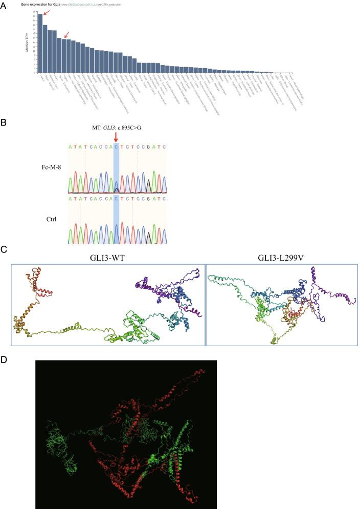 https://cdn.ncbi.nlm.nih.gov/pmc/blobs/3cd5/8969342/2c631c2c20e2/40246_2022_385_Fig4_HTML.jpg