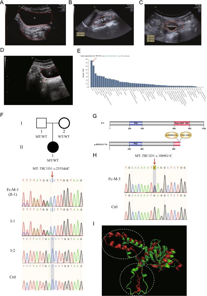 https://cdn.ncbi.nlm.nih.gov/pmc/blobs/3cd5/8969342/5b96cb01bd06/40246_2022_385_Fig1_HTML.jpg