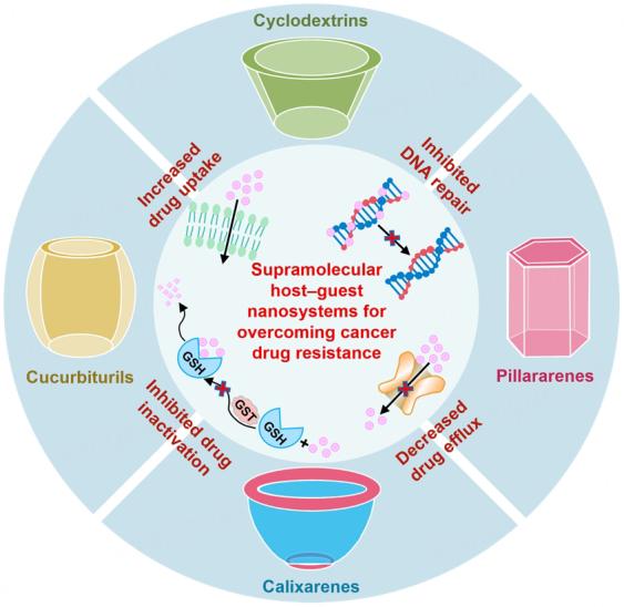 https://cdn.ncbi.nlm.nih.gov/pmc/blobs/3cd6/10804391/67bf0b1db6d4/cdr-6-4-805.scheme.1.jpg