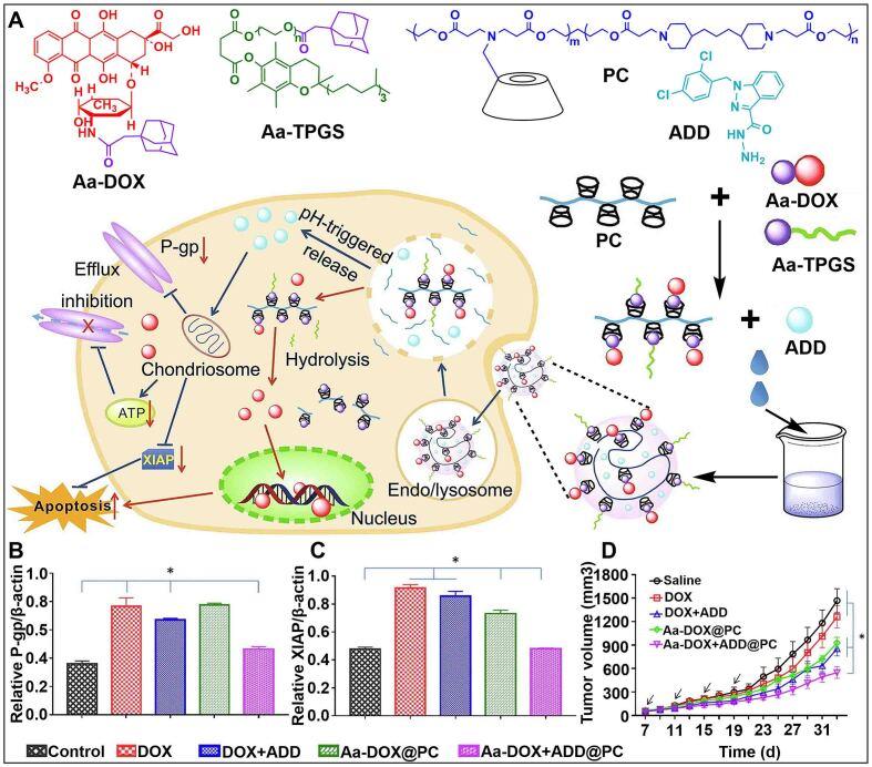 https://cdn.ncbi.nlm.nih.gov/pmc/blobs/3cd6/10804391/72b4420d975e/cdr-6-4-805.fig.2.jpg