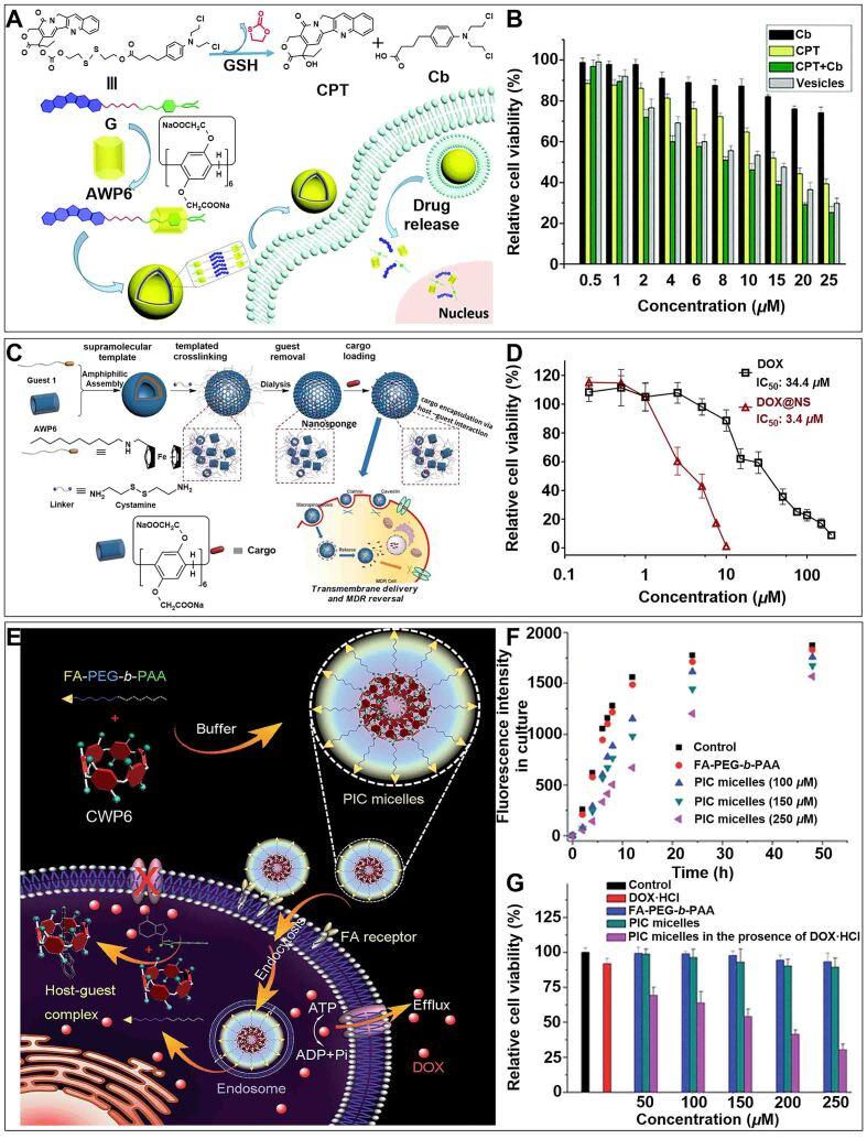 https://cdn.ncbi.nlm.nih.gov/pmc/blobs/3cd6/10804391/8895a2d2ca3d/cdr-6-4-805.fig.12.jpg