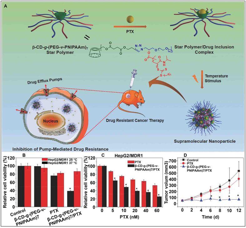 https://cdn.ncbi.nlm.nih.gov/pmc/blobs/3cd6/10804391/902582f7c53d/cdr-6-4-805.fig.5.jpg