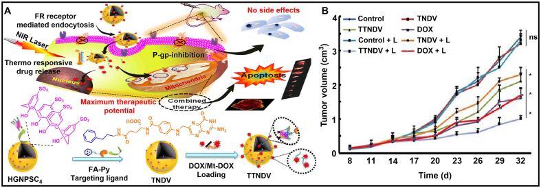 https://cdn.ncbi.nlm.nih.gov/pmc/blobs/3cd6/10804391/9d092379741c/cdr-6-4-805.fig.8.jpg