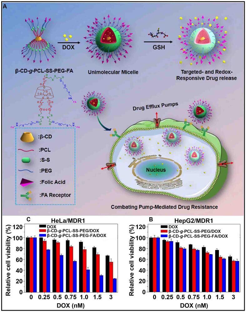 https://cdn.ncbi.nlm.nih.gov/pmc/blobs/3cd6/10804391/ab9a46fb6357/cdr-6-4-805.fig.6.jpg