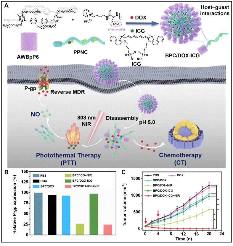 https://cdn.ncbi.nlm.nih.gov/pmc/blobs/3cd6/10804391/c3125cc7086d/cdr-6-4-805.fig.13.jpg