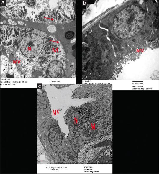 https://cdn.ncbi.nlm.nih.gov/pmc/blobs/3cd6/11729022/9faf0736d241/JMAU-12-199-g016.jpg