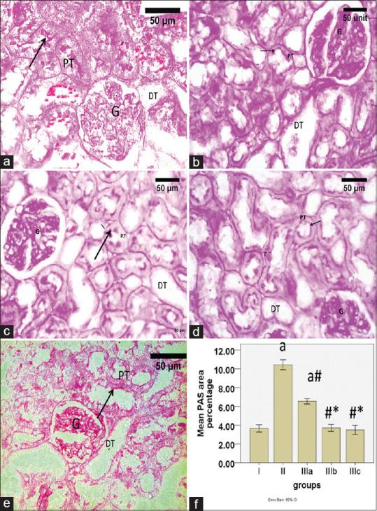 https://cdn.ncbi.nlm.nih.gov/pmc/blobs/3cd6/11729022/c7ebca07679a/JMAU-12-199-g002.jpg