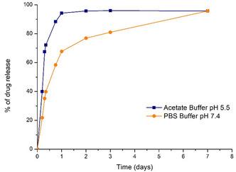 https://cdn.ncbi.nlm.nih.gov/pmc/blobs/3cd6/12388163/ebb9d4731919/CPHC-26-e202401128-g003.jpg